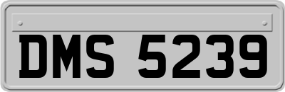 DMS5239