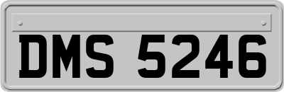 DMS5246