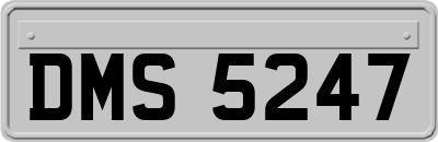 DMS5247