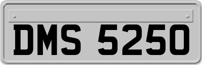 DMS5250