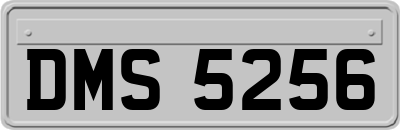 DMS5256