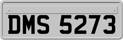 DMS5273