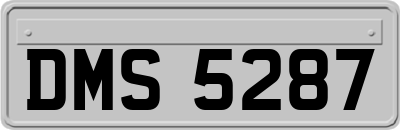 DMS5287