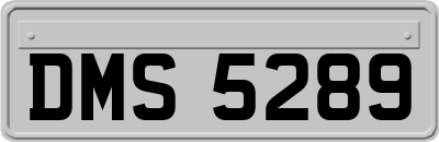 DMS5289