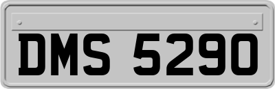 DMS5290