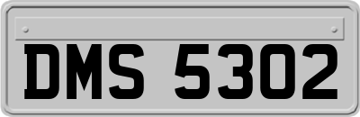 DMS5302