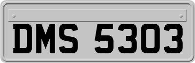 DMS5303