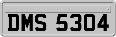 DMS5304