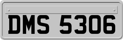 DMS5306