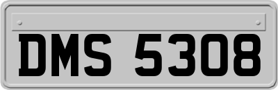 DMS5308