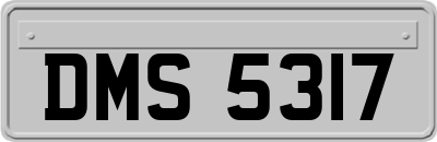 DMS5317