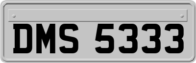 DMS5333