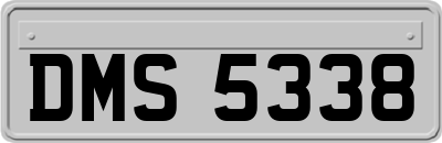 DMS5338