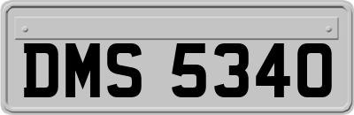 DMS5340