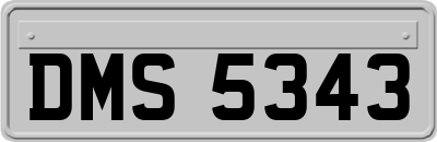 DMS5343