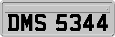 DMS5344