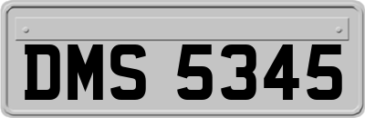 DMS5345