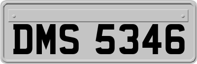 DMS5346