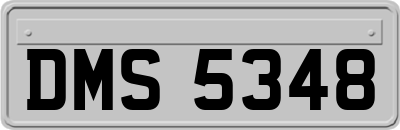 DMS5348