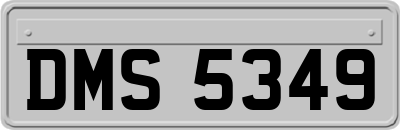 DMS5349