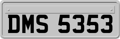 DMS5353