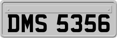 DMS5356