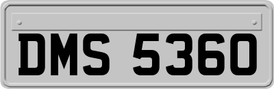 DMS5360