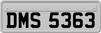 DMS5363
