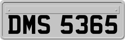 DMS5365