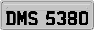 DMS5380