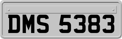 DMS5383