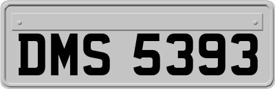 DMS5393
