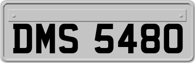 DMS5480