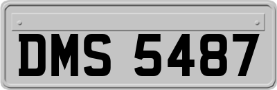 DMS5487
