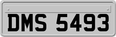 DMS5493