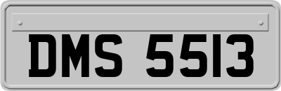 DMS5513