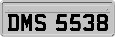 DMS5538