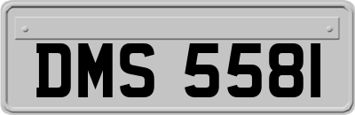 DMS5581