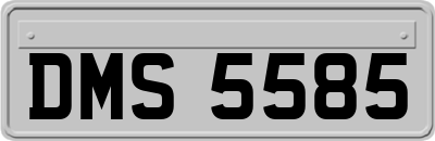 DMS5585