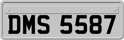DMS5587
