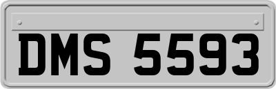 DMS5593