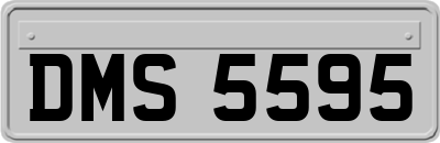 DMS5595