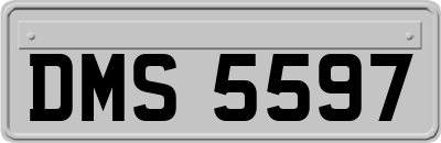 DMS5597