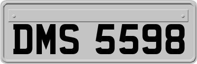 DMS5598