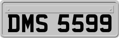 DMS5599