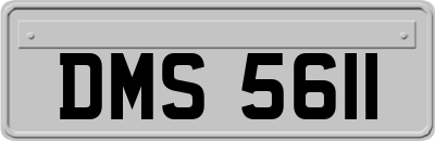 DMS5611