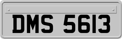 DMS5613