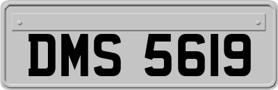 DMS5619