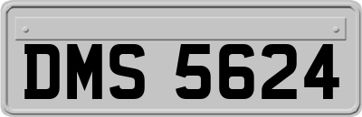 DMS5624