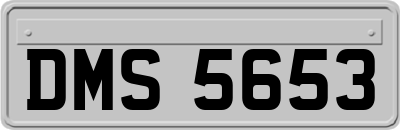 DMS5653
